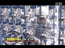 ��Ǯ��ǰ������